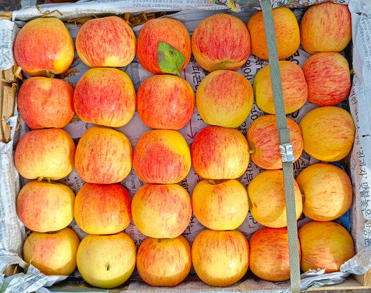Gaja Apple (small size)