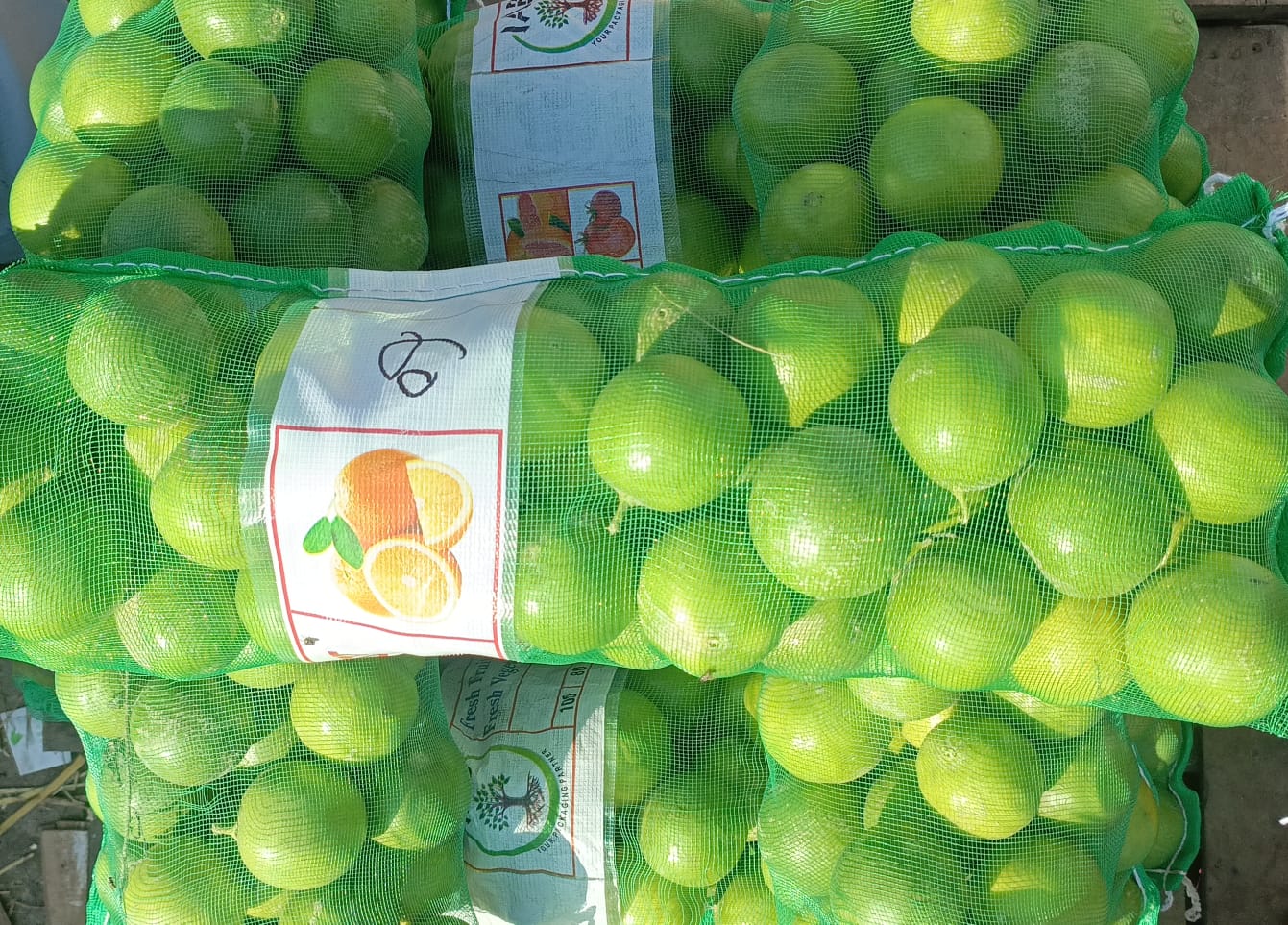Sweet Lime(mitha)