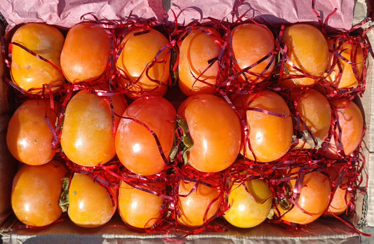 Persimmon((Japani Phal (جاپانی پھل))