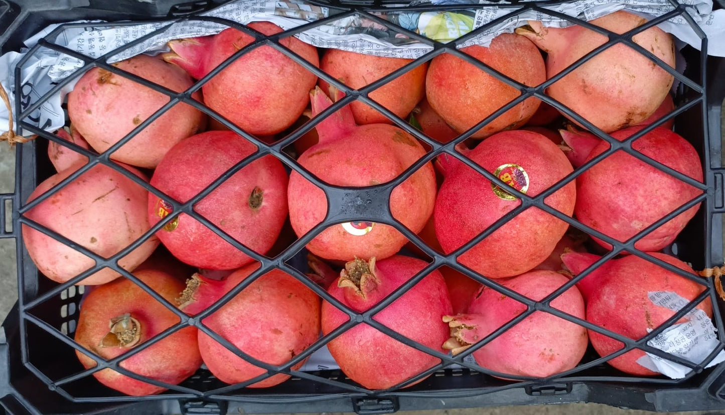 pomegranate(Anar)