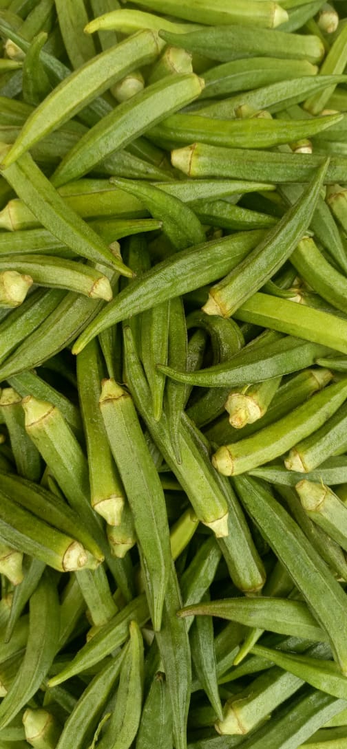 Okra(بھنڈی)