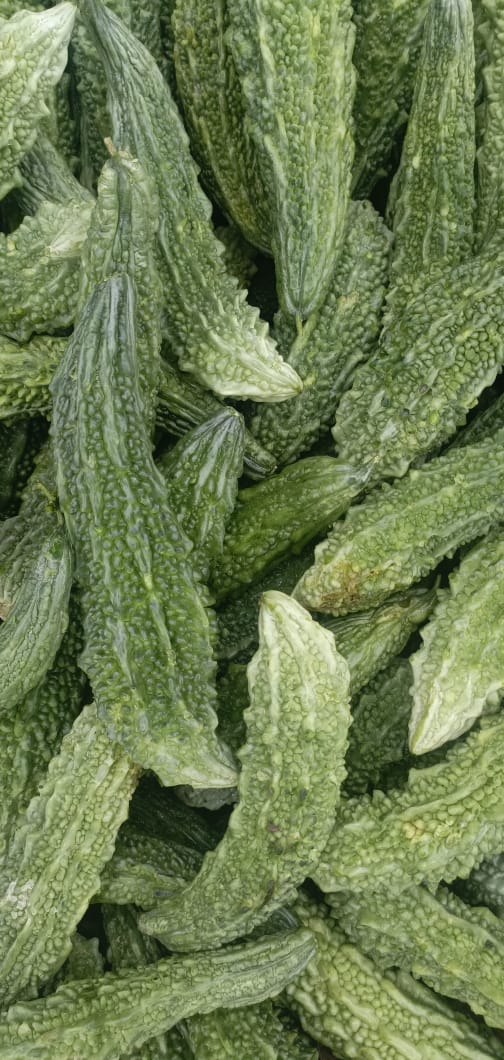 kerela(کریلا)