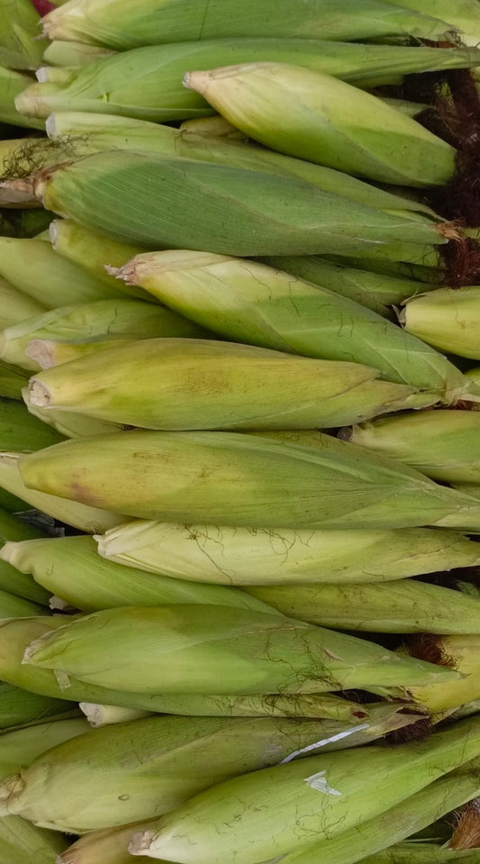 Chhali(چھلی)