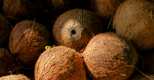 Coconut