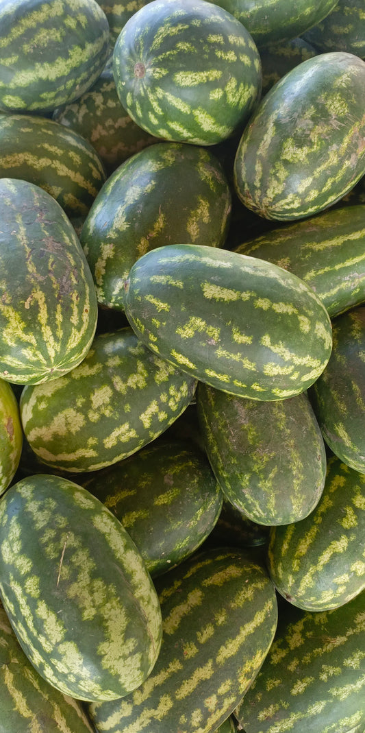 Water melon