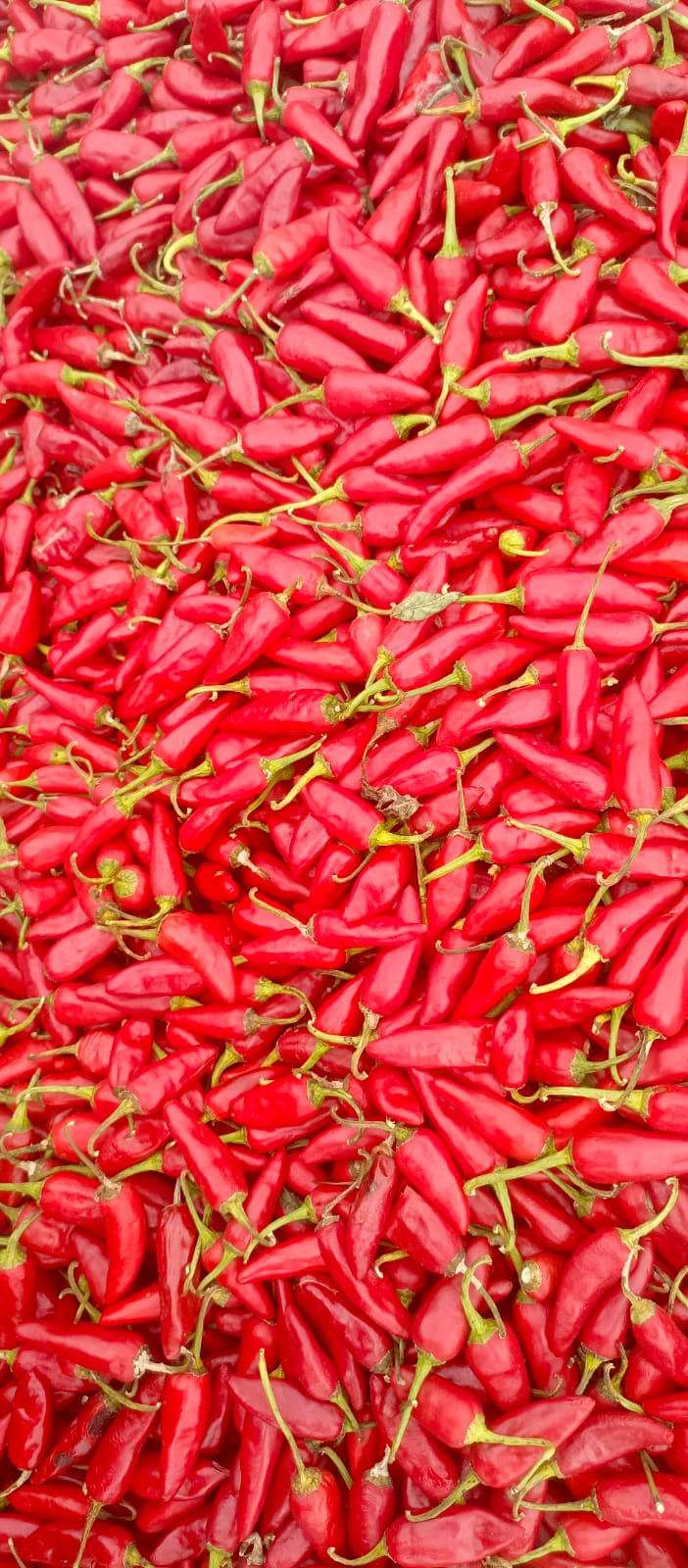 Red Spices